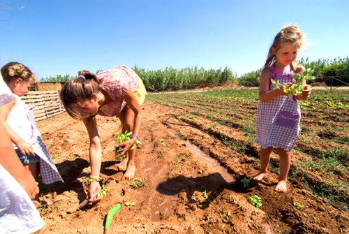 EDEN agribeach, fattoria didattica e molto altro / edensalento.net