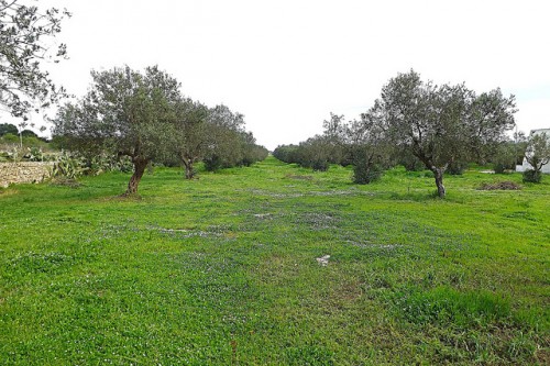 Pasquetta a contatto con la natura del Salento / @flickr / TarantinoVincenzo