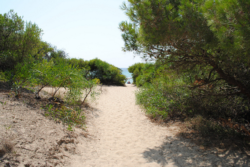 Pineta di Rivabella a Gallipoli